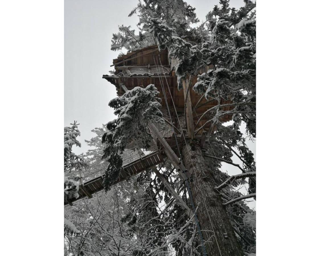 Chalé Des Volcans *