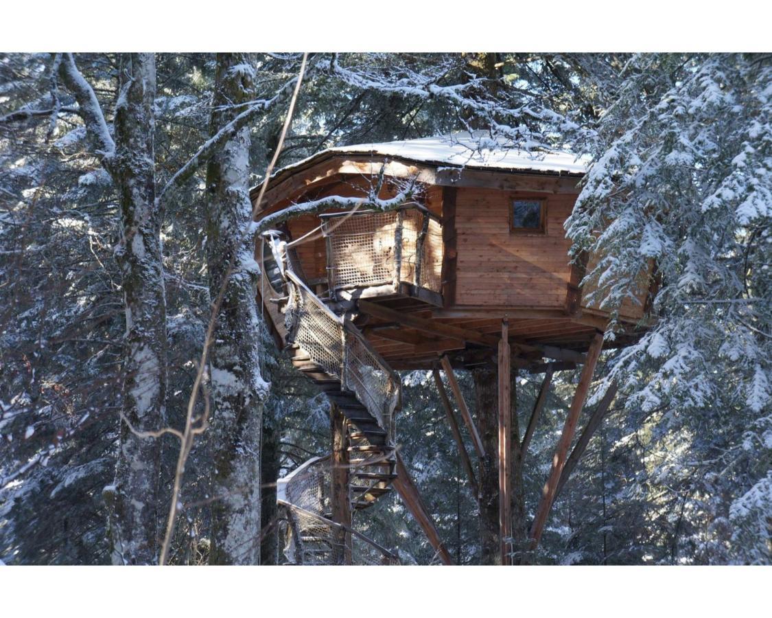 Des Volcans Chalet