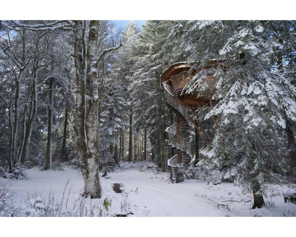 Chalet Des Volcans