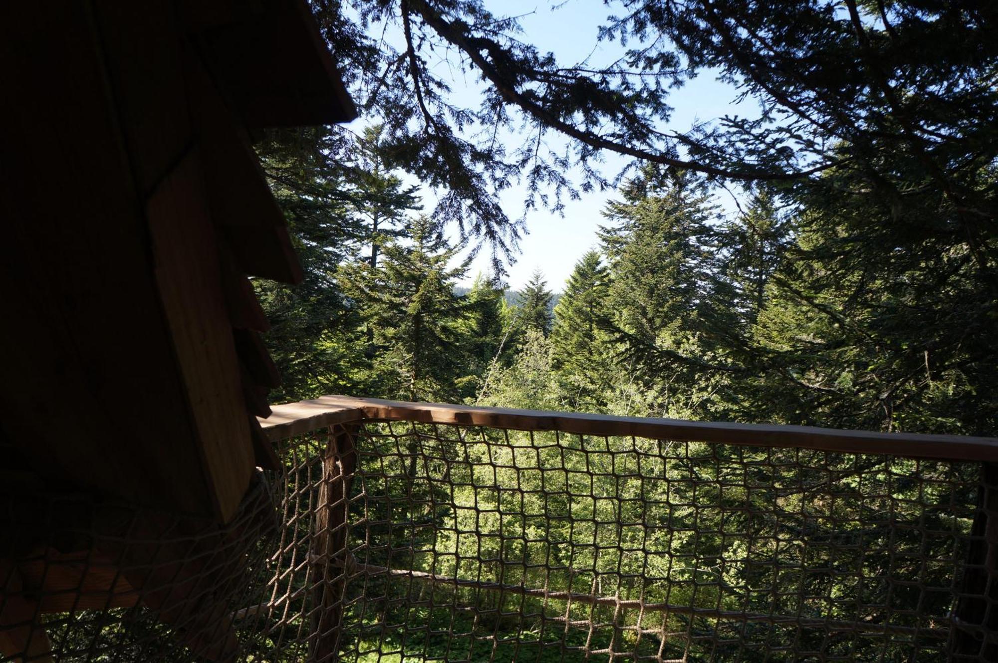 Chalet Des Volcans *